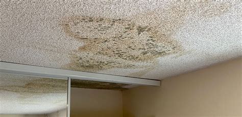 How to Troubleshoot and Repair a Leaking Ceiling